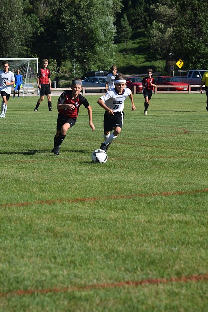 他不仅贡献 他不仅贡献