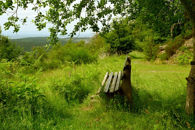 僅依靠主教 僅依靠主教