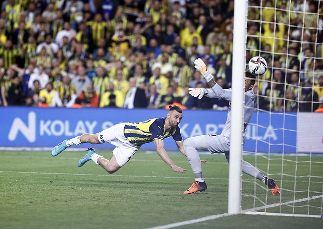 上海队能否 上海队能否