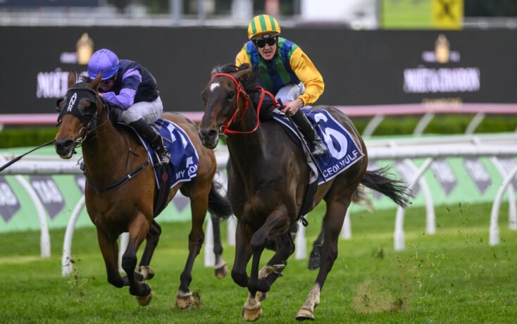 吸引了大批 吸引了大批